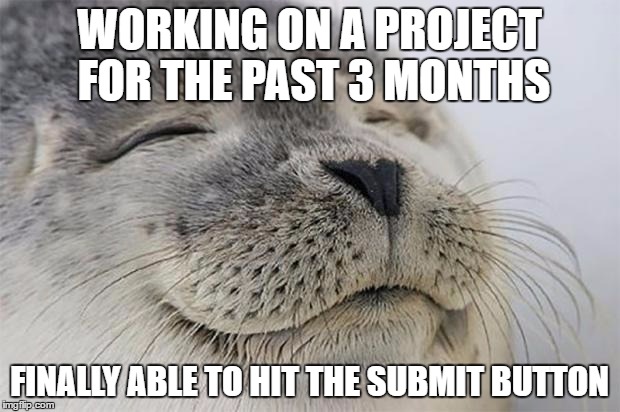 Satisfied Seal Meme | WORKING ON A PROJECT FOR THE PAST 3 MONTHS; FINALLY ABLE TO HIT THE SUBMIT BUTTON | image tagged in memes,satisfied seal | made w/ Imgflip meme maker