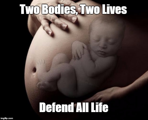 Pregnant Stomach | Two Bodies, Two Lives; Defend All Life | image tagged in pregnant stomach | made w/ Imgflip meme maker