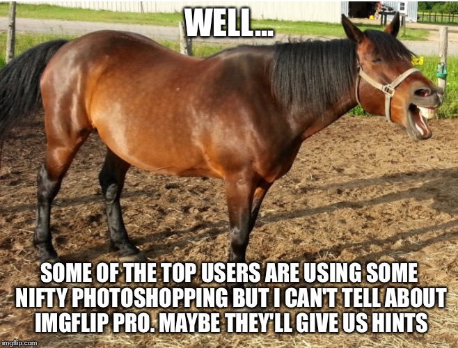 LAUGHING HORSE | WELL... SOME OF THE TOP USERS ARE USING SOME NIFTY PHOTOSHOPPING BUT I CAN'T TELL ABOUT IMGFLIP PRO. MAYBE THEY'LL GIVE US HINTS | image tagged in laughing horse | made w/ Imgflip meme maker