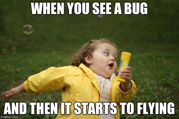 girl running | WHEN YOU SEE A BUG; AND THEN IT STARTS TO FLYING | image tagged in girl running | made w/ Imgflip meme maker