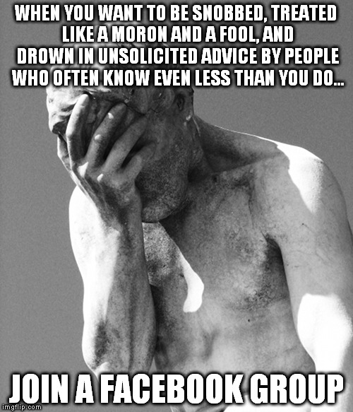 Despair | WHEN YOU WANT TO BE SNOBBED, TREATED LIKE A MORON AND A FOOL, AND DROWN IN UNSOLICITED ADVICE BY PEOPLE WHO OFTEN KNOW EVEN LESS THAN YOU DO... JOIN A FACEBOOK GROUP | image tagged in despair | made w/ Imgflip meme maker
