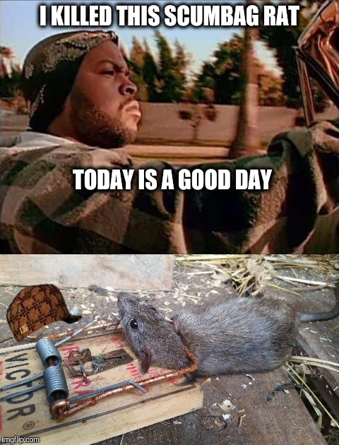 Good old Victor rat traps. | I KILLED THIS SCUMBAG RAT; TODAY IS A GOOD DAY | image tagged in today was a good day,rats | made w/ Imgflip meme maker