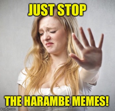 He's Not A Martyr | JUST STOP; THE HARAMBE MEMES! | image tagged in harambe | made w/ Imgflip meme maker