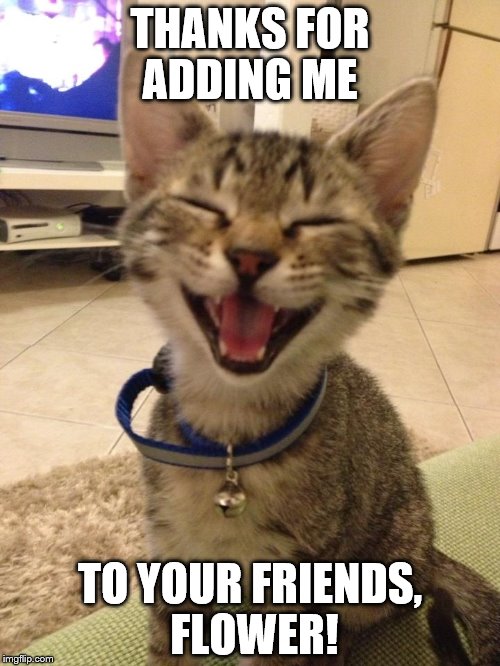 THANKS FOR ADDING ME; TO YOUR FRIENDS, FLOWER! | made w/ Imgflip meme maker