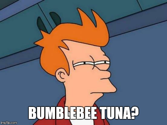 Futurama Fry | BUMBLEBEE TUNA? | image tagged in memes,futurama fry | made w/ Imgflip meme maker