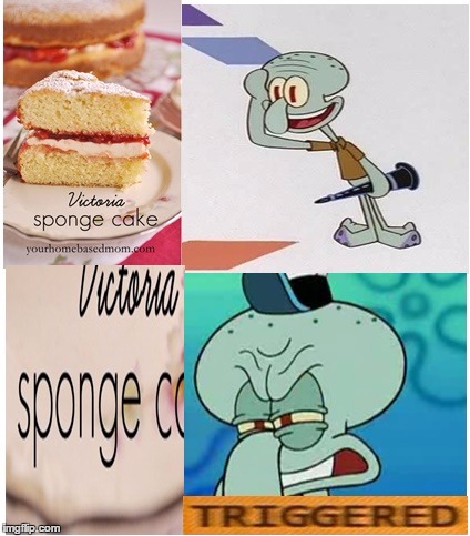 sponge cake | image tagged in squidward | made w/ Imgflip meme maker