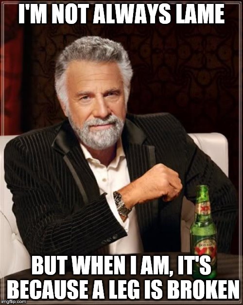 The Most Interesting Man In The World | I'M NOT ALWAYS LAME; BUT WHEN I AM, IT'S BECAUSE A LEG IS BROKEN | image tagged in memes,the most interesting man in the world | made w/ Imgflip meme maker