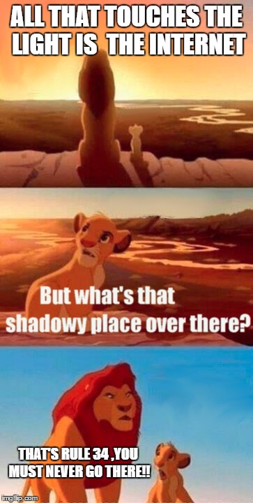 Simba Shadowy Place Meme | ALL THAT TOUCHES THE LIGHT IS  THE INTERNET; THAT'S RULE 34 ,YOU MUST NEVER GO THERE!! | image tagged in memes,simba shadowy place | made w/ Imgflip meme maker