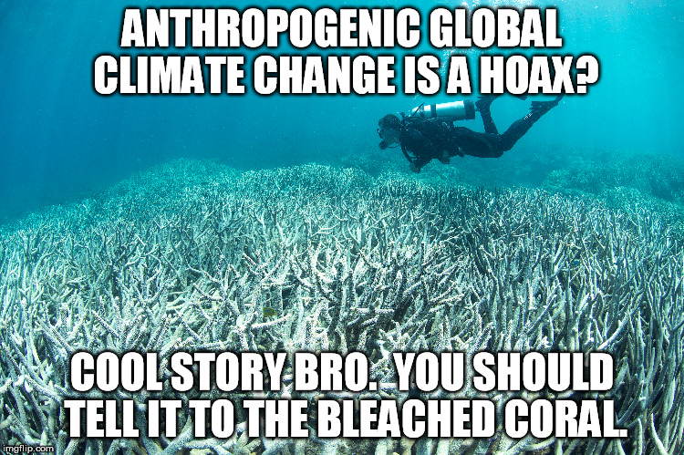 ANTHROPOGENIC GLOBAL CLIMATE CHANGE IS A HOAX? COOL STORY BRO.  YOU SHOULD TELL IT TO THE BLEACHED CORAL. | made w/ Imgflip meme maker