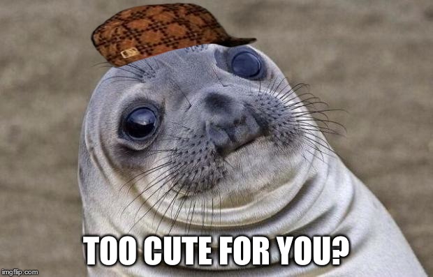 Awkward Moment Sealion | TOO CUTE FOR YOU? | image tagged in memes,awkward moment sealion,scumbag | made w/ Imgflip meme maker