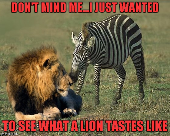 DON'T MIND ME...I JUST WANTED TO SEE WHAT A LION TASTES LIKE | made w/ Imgflip meme maker