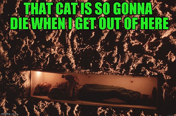 THAT CAT IS SO GONNA DIE WHEN I GET OUT OF HERE | made w/ Imgflip meme maker