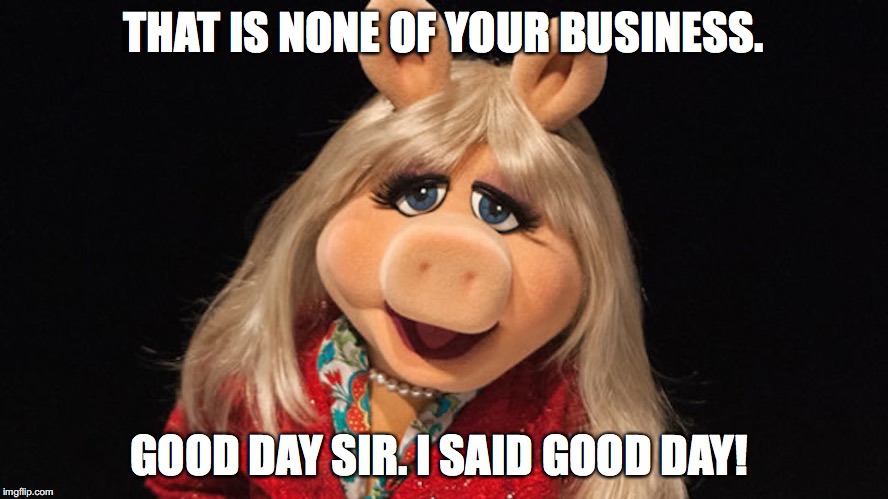 THAT IS NONE OF YOUR BUSINESS. GOOD DAY SIR. I SAID GOOD DAY! | made w/ Imgflip meme maker