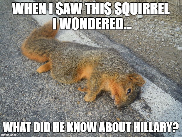 roadkill | WHEN I SAW THIS SQUIRREL I WONDERED... WHAT DID HE KNOW ABOUT HILLARY? | image tagged in roadkill | made w/ Imgflip meme maker