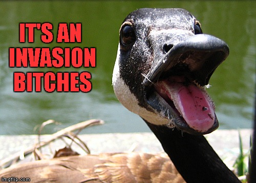 IT'S AN INVASION B**CHES | made w/ Imgflip meme maker
