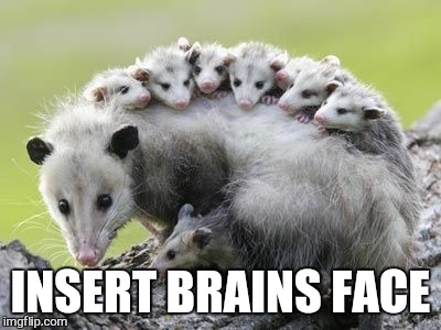 INSERT BRAINS FACE | made w/ Imgflip meme maker