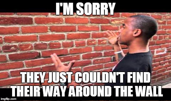 I'M SORRY THEY JUST COULDN'T FIND THEIR WAY AROUND THE WALL | made w/ Imgflip meme maker