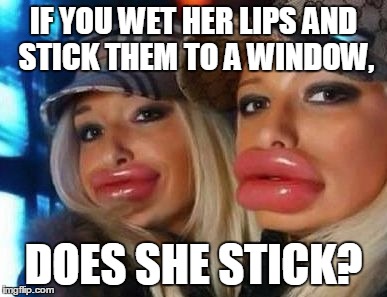 Duck Face Chicks | IF YOU WET HER LIPS AND STICK THEM TO A WINDOW, DOES SHE STICK? | image tagged in memes,duck face chicks | made w/ Imgflip meme maker