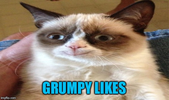 GRUMPY LIKES | made w/ Imgflip meme maker