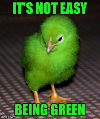 IT'S NOT EASY BEING GREEN | image tagged in green chick | made w/ Imgflip meme maker