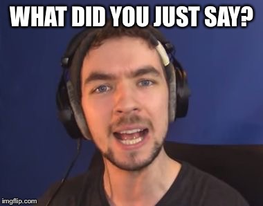 WHAT DID YOU JUST SAY? | made w/ Imgflip meme maker