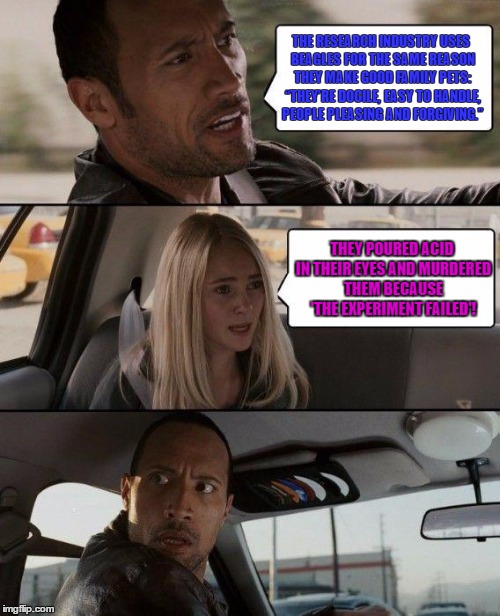 The Rock Driving | THE RESEARCH INDUSTRY USES BEAGLES FOR THE SAME REASON THEY MAKE GOOD FAMILY PETS: “THEY’RE DOCILE, EASY TO HANDLE, PEOPLE PLEASING AND FORGIVING.”; THEY POURED ACID IN THEIR EYES AND MURDERED THEM BECAUSE 'THE EXPERIMENT FAILED'! | image tagged in memes,the rock driving | made w/ Imgflip meme maker