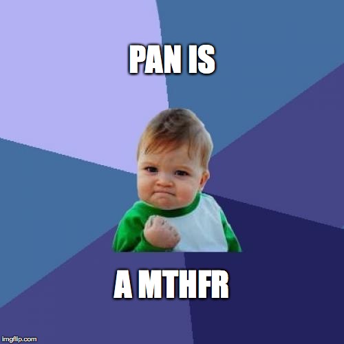 Success Kid | PAN IS; A MTHFR | image tagged in memes,success kid | made w/ Imgflip meme maker