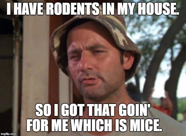 So I Got That Goin For Me Which Is Nice Meme | I HAVE RODENTS IN MY HOUSE. SO I GOT THAT GOIN' FOR ME WHICH IS MICE. | image tagged in memes,so i got that goin for me which is nice | made w/ Imgflip meme maker