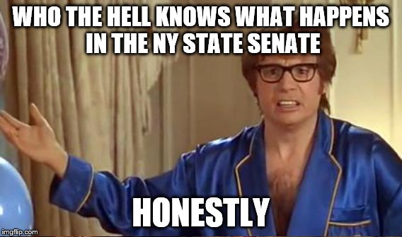WHO THE HELL KNOWS WHAT HAPPENS IN THE NY STATE SENATE HONESTLY | made w/ Imgflip meme maker