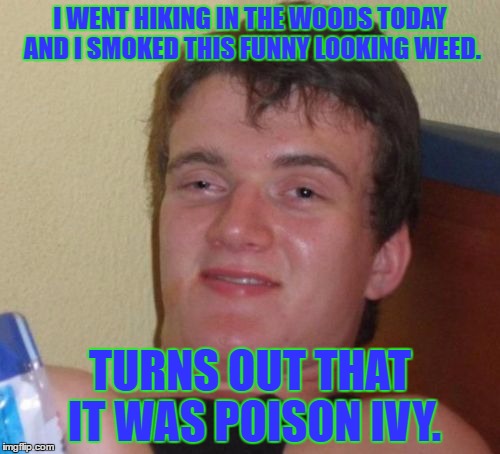 10 Guy Meme | I WENT HIKING IN THE WOODS TODAY AND I SMOKED THIS FUNNY LOOKING WEED. TURNS OUT THAT IT WAS POISON IVY. | image tagged in memes,10 guy | made w/ Imgflip meme maker