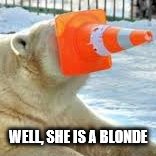 WELL, SHE IS A BLONDE | made w/ Imgflip meme maker