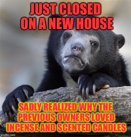 luckily the budget can carry new sub-floors, hardwood, carpet, paint, and pro cleaning. The previous owners had some pets !!!!! | JUST CLOSED ON A NEW HOUSE; SADLY REALIZED WHY THE PREVIOUS OWNERS LOVED INCENSE AND SCENTED CANDLES | image tagged in memes,confession bear,bad smell,dirty,pets | made w/ Imgflip meme maker