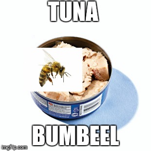 TUNA BUMBEEL | made w/ Imgflip meme maker