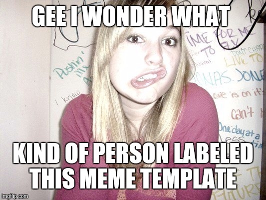 blonde bitch | GEE I WONDER WHAT; KIND OF PERSON LABELED THIS MEME TEMPLATE | image tagged in blonde bitch | made w/ Imgflip meme maker