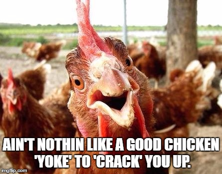 AIN'T NOTHIN LIKE A GOOD CHICKEN 'YOKE' TO 'CRACK' YOU UP. | made w/ Imgflip meme maker