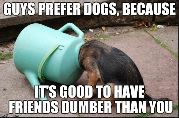 well, its not as cool as i thought in here! | GUYS PREFER DOGS, BECAUSE; IT'S GOOD TO HAVE FRIENDS DUMBER THAN YOU | image tagged in funny dogs,funny animals,puppies | made w/ Imgflip meme maker