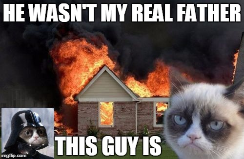 Burn Kitty | HE WASN'T MY REAL FATHER; THIS GUY IS | image tagged in memes,burn kitty | made w/ Imgflip meme maker