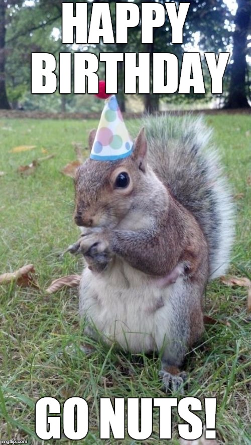 Super Birthday Squirrel Meme | HAPPY BIRTHDAY; GO NUTS! | image tagged in memes,super birthday squirrel | made w/ Imgflip meme maker