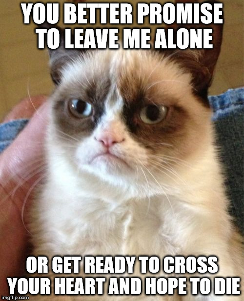 Promise? Cross Your Heart And Hope To Die? | YOU BETTER PROMISE TO LEAVE ME ALONE; OR GET READY TO CROSS YOUR HEART AND HOPE TO DIE | image tagged in memes,grumpy cat | made w/ Imgflip meme maker