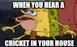 Argh! I Can Hear It, But I Can't Find It | WHEN YOU HEAR A; CRICKET IN YOUR HOUSE | image tagged in memes,spongegar,funny memes | made w/ Imgflip meme maker