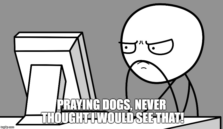 PRAYING DOGS, NEVER THOUGHT I WOULD SEE THAT! | made w/ Imgflip meme maker