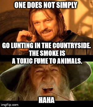 One does not simply | ONE DOES NOT SIMPLY; GO LUNTING IN THE COUNTRYSIDE. THE SMOKE IS A TOXIC FUME TO ANIMALS. HAHA | image tagged in gandalf,smoke,smoking,one does not simply,lord of the rings,the lord of the rings | made w/ Imgflip meme maker