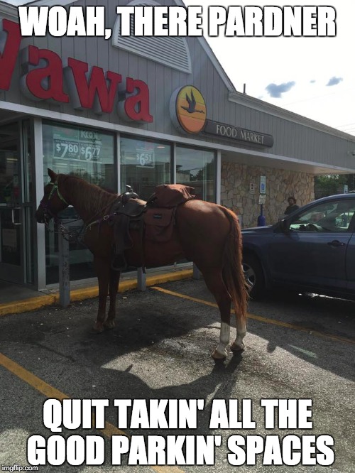 Only in New Jersey | WOAH, THERE PARDNER; QUIT TAKIN' ALL THE GOOD PARKIN' SPACES | image tagged in horse,parking lot | made w/ Imgflip meme maker