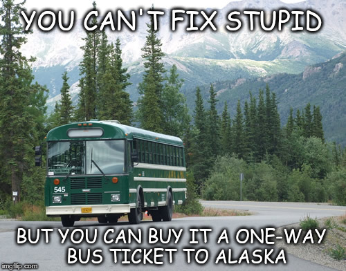 You can't fix stupid but you can send it to alaska | YOU CAN'T FIX STUPID; BUT YOU CAN BUY IT A ONE-WAY
 BUS TICKET TO ALASKA | image tagged in denali park alaska shuttle bus,you can't fix stupid | made w/ Imgflip meme maker