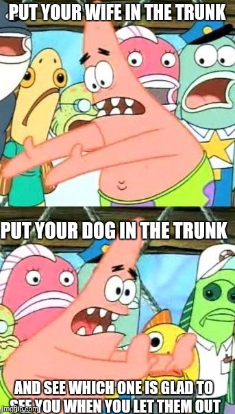 Put It Somewhere Else Patrick Meme | PUT YOUR WIFE IN THE TRUNK; PUT YOUR DOG IN THE TRUNK; AND SEE WHICH ONE IS GLAD TO SEE YOU WHEN YOU LET THEM OUT | image tagged in memes,put it somewhere else patrick | made w/ Imgflip meme maker