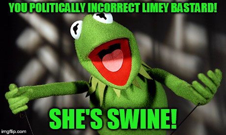 YOU POLITICALLY INCORRECT LIMEY BASTARD! SHE'S SWINE! | made w/ Imgflip meme maker