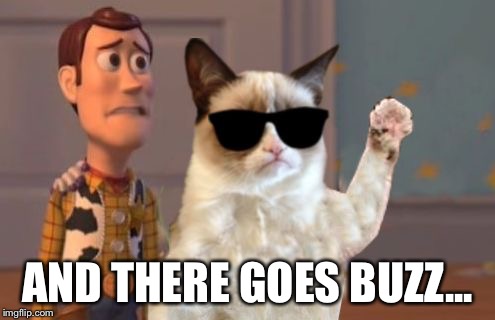 Grumpy Cat Everywhere | AND THERE GOES BUZZ... | image tagged in grumpy cat everywhere,memes | made w/ Imgflip meme maker