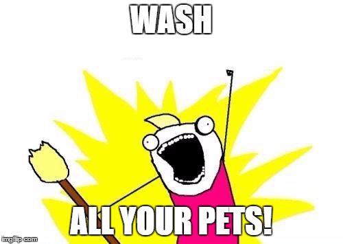 X All The Y Meme | WASH ALL YOUR PETS! | image tagged in memes,x all the y | made w/ Imgflip meme maker