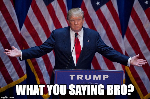 Trump Bruh | WHAT YOU SAYING BRO? | image tagged in trump bruh | made w/ Imgflip meme maker