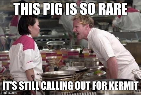 The Muppets | THIS PIG IS SO RARE; IT'S STILL CALLING OUT FOR KERMIT | image tagged in memes,angry chef gordon ramsay,muppets | made w/ Imgflip meme maker